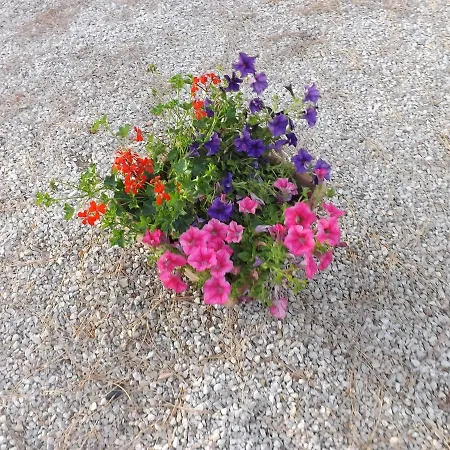 Bed & Breakfast Casale Grandangolo